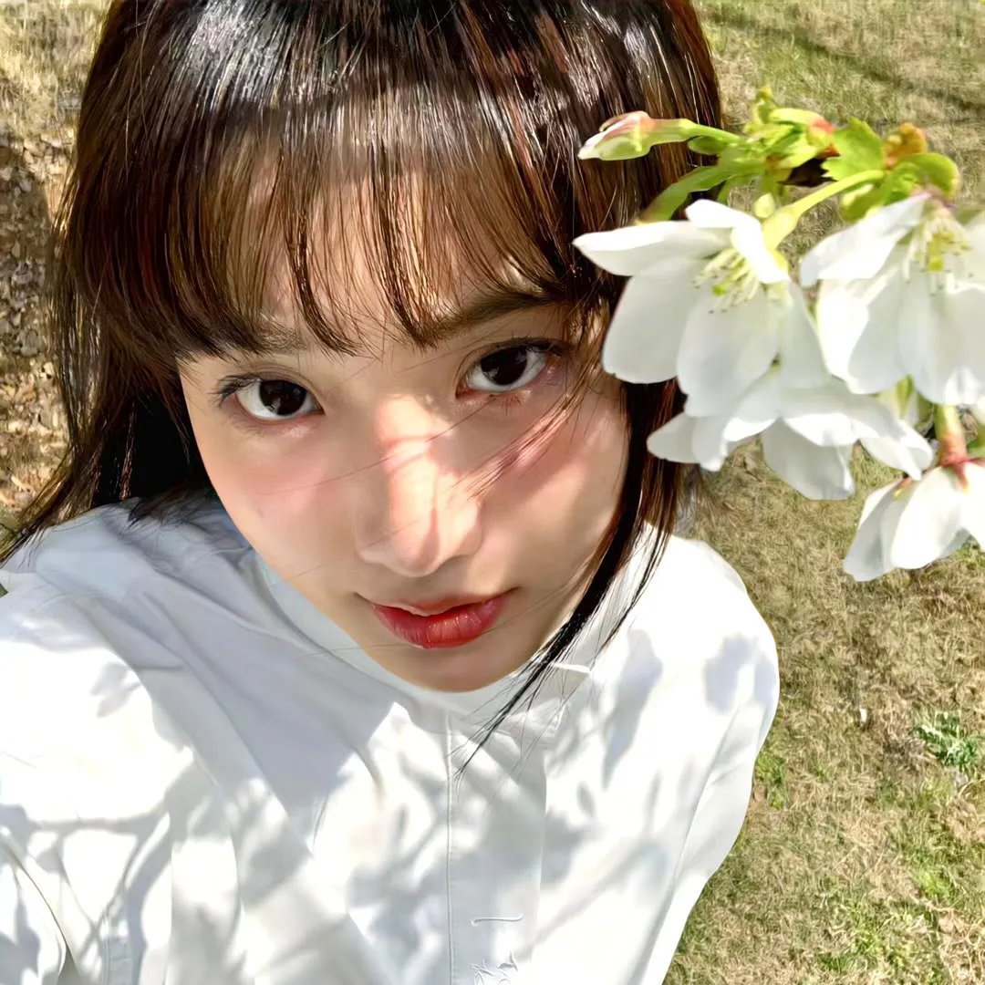 三便士歌剧 在线观看