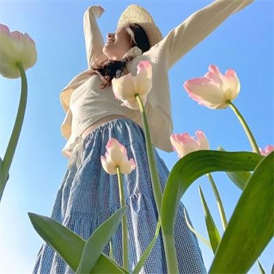 芭比与姐妹之赛马记 在线观看